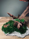 Blackwood Cliff - Medium version (Preserved Plants)