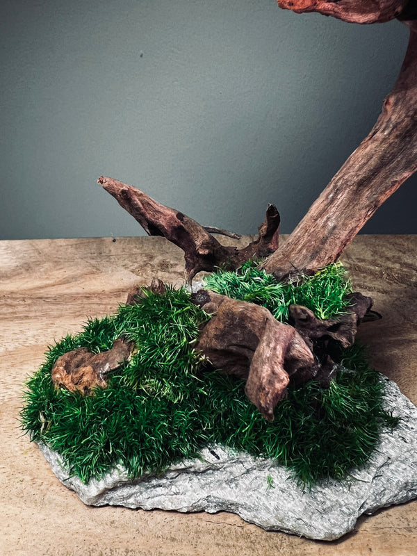 Blackwood Cliff - Medium version (Preserved Plants)