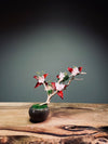 A Small Tree in the East - Star Blossom (Preserved Plants)