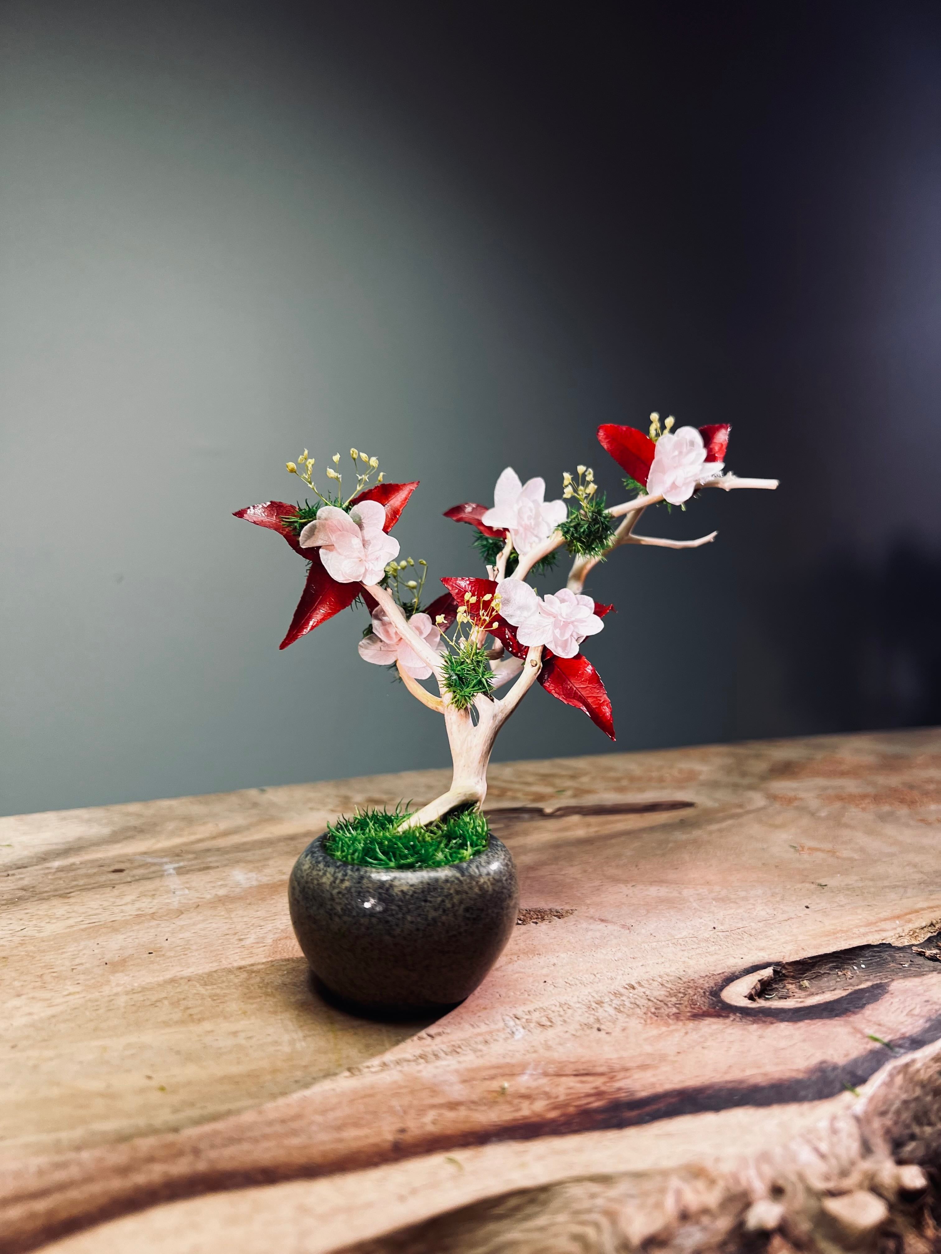 A Small Tree in the East - Star Blossom (Preserved Plants)