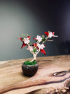 A Small Tree in the East - Star Blossom (Preserved Plants)