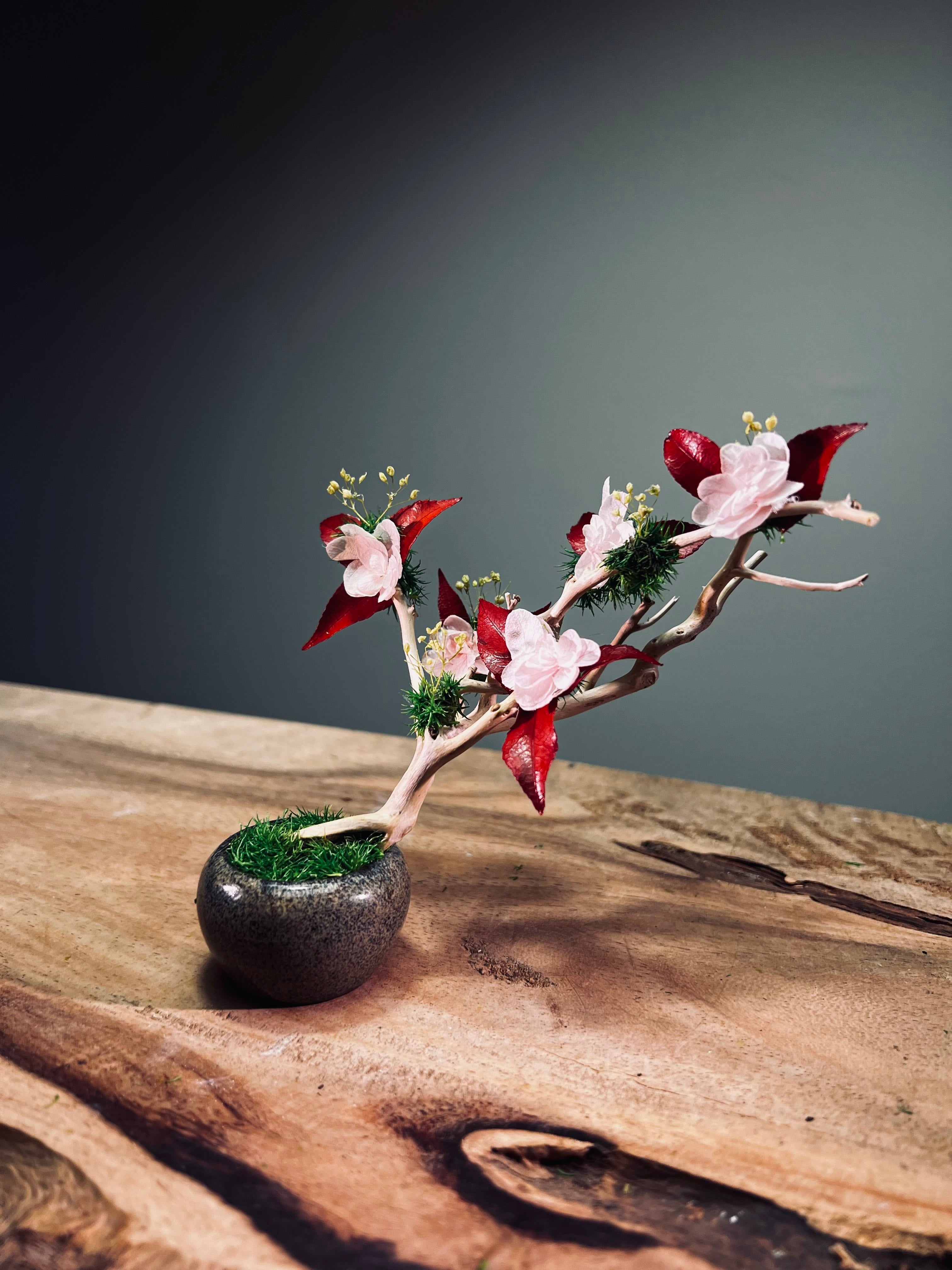 A Small Tree in the East - Star Blossom (Preserved Plants)