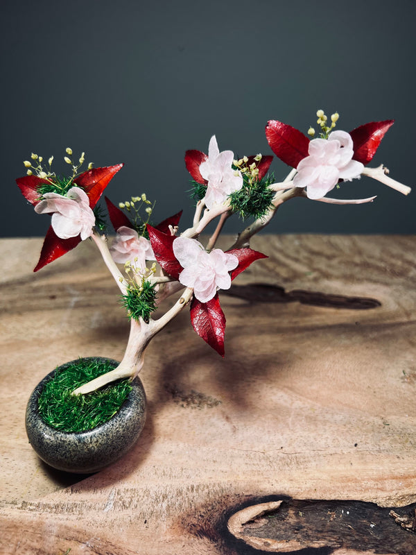 A Small Tree in the East - Star Blossom (Preserved Plants)