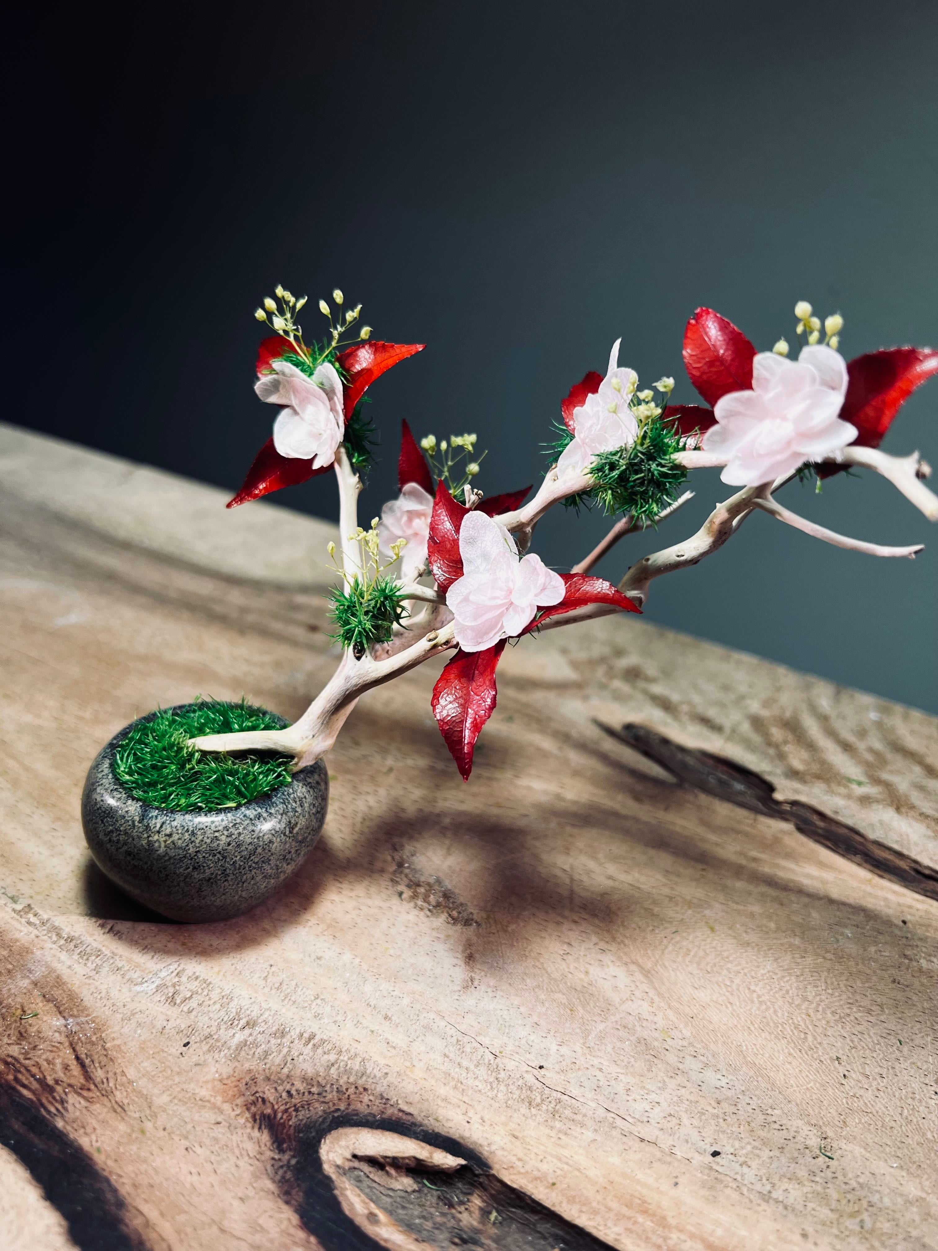 A Small Tree in the East - Star Blossom (Preserved Plants)