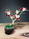 A Small Tree in the East - Star Blossom (Preserved Plants)