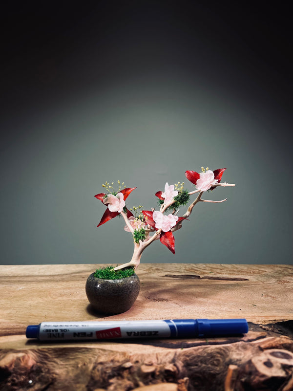 A Small Tree in the East - Star Blossom (Preserved Plants)