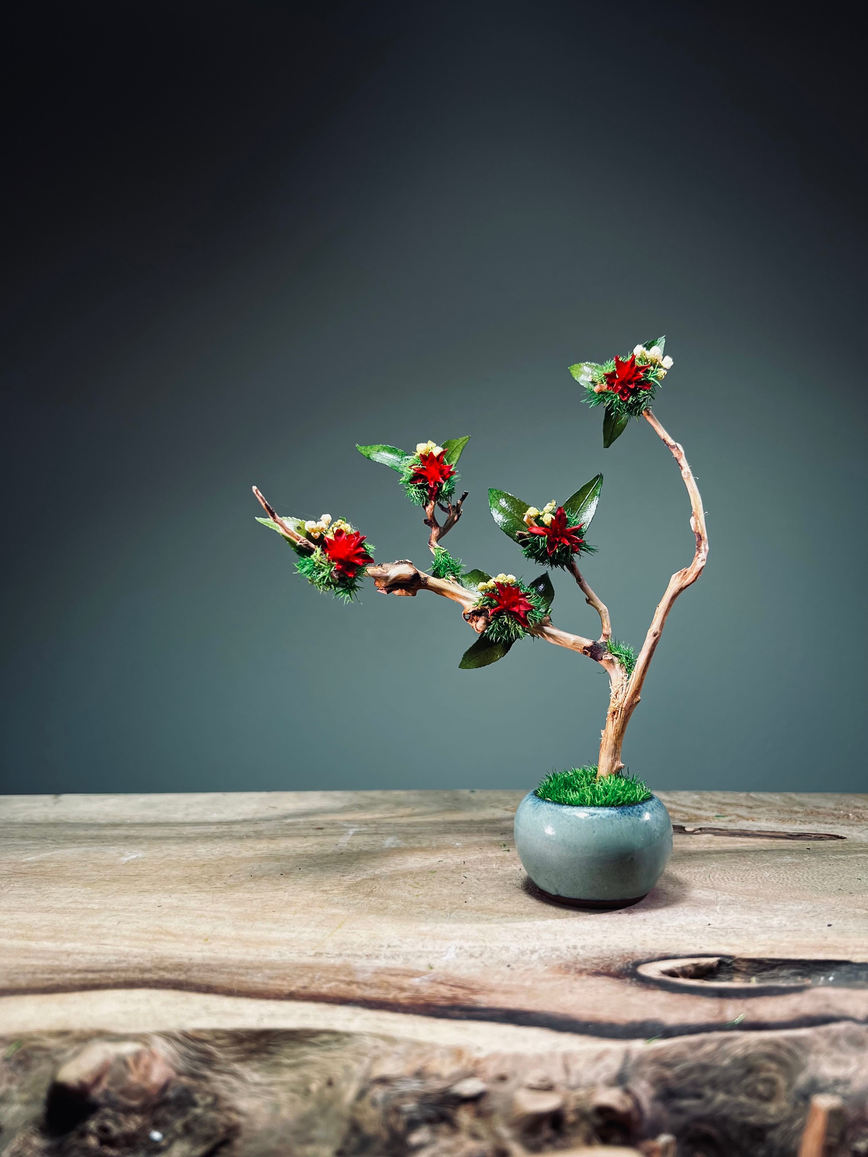 A Small Tree in the East - Star Blossom (Preserved Plants)