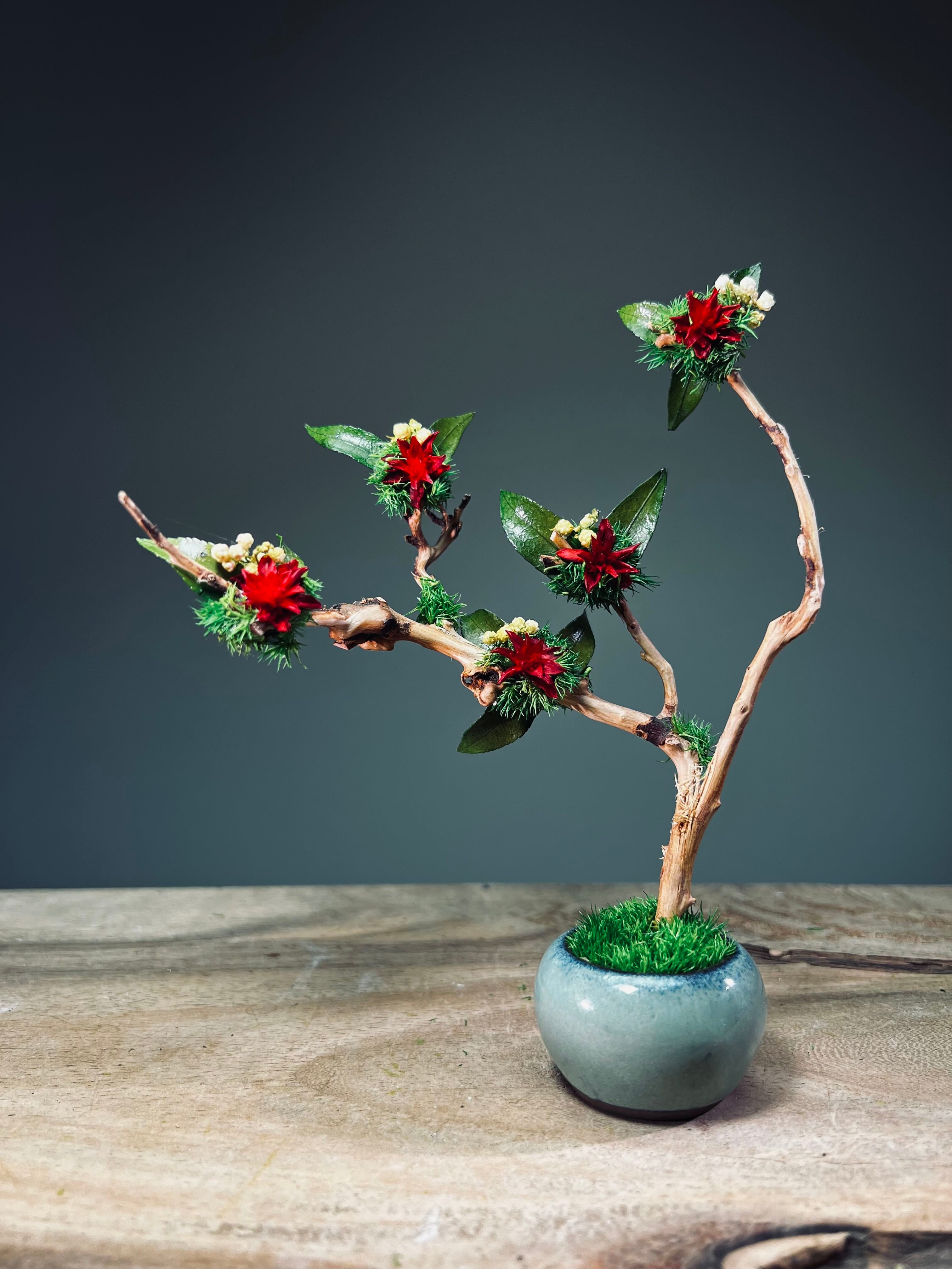 A Small Tree in the East - Star Blossom (Preserved Plants)