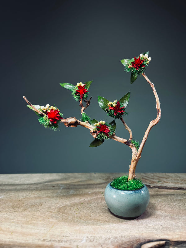 A Small Tree in the East - Star Blossom (Preserved Plants)