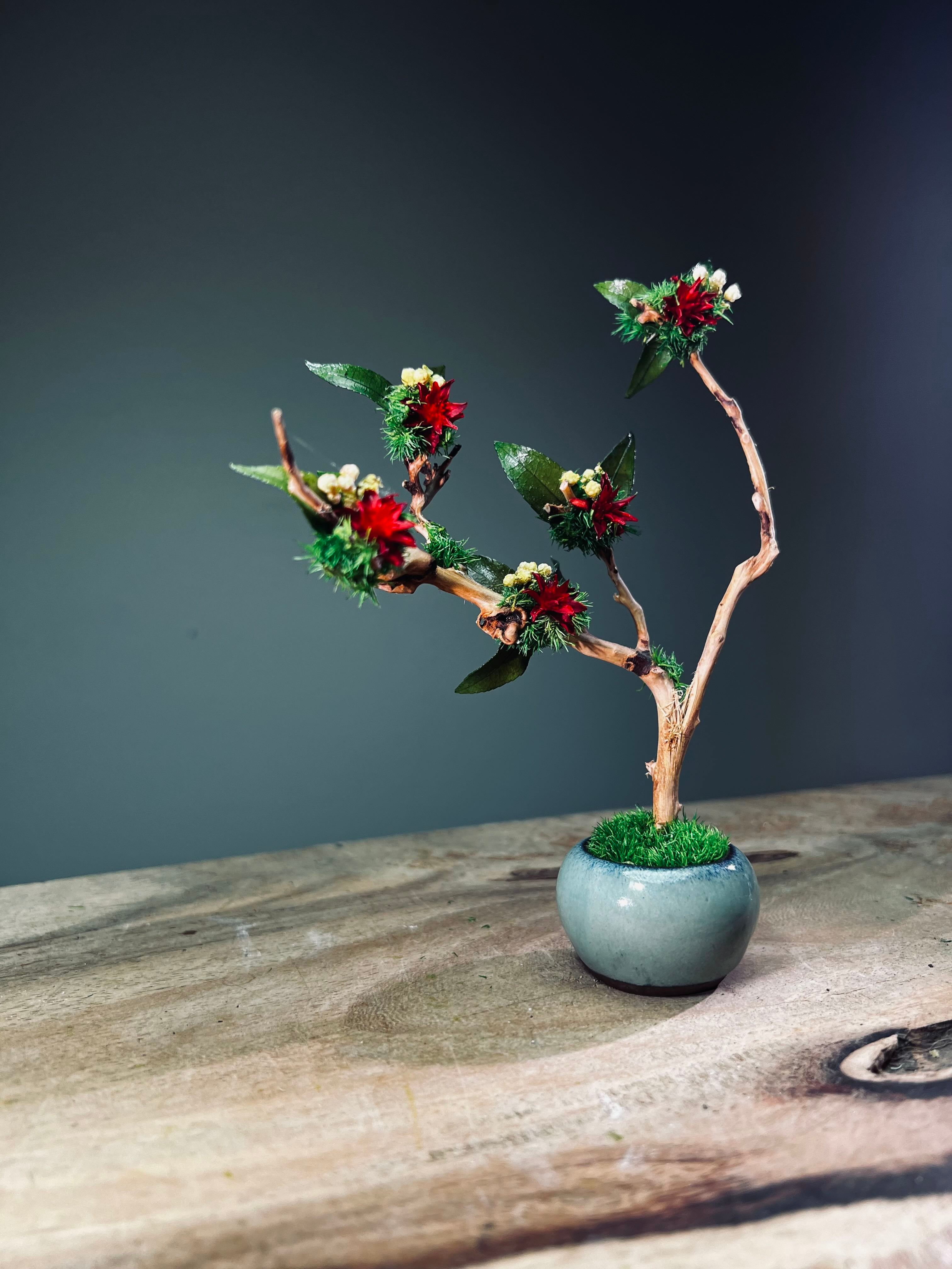 A Small Tree in the East - Star Blossom (Preserved Plants)