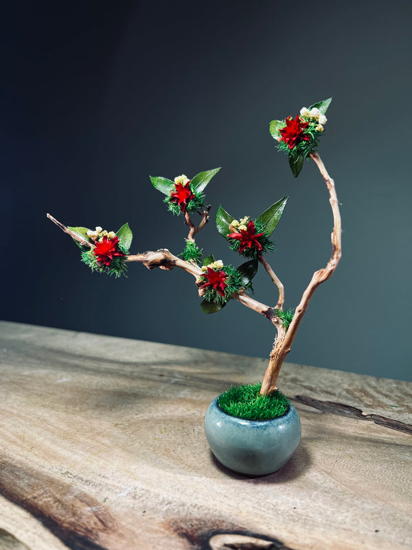 A Small Tree in the East - Star Blossom (Preserved Plants)