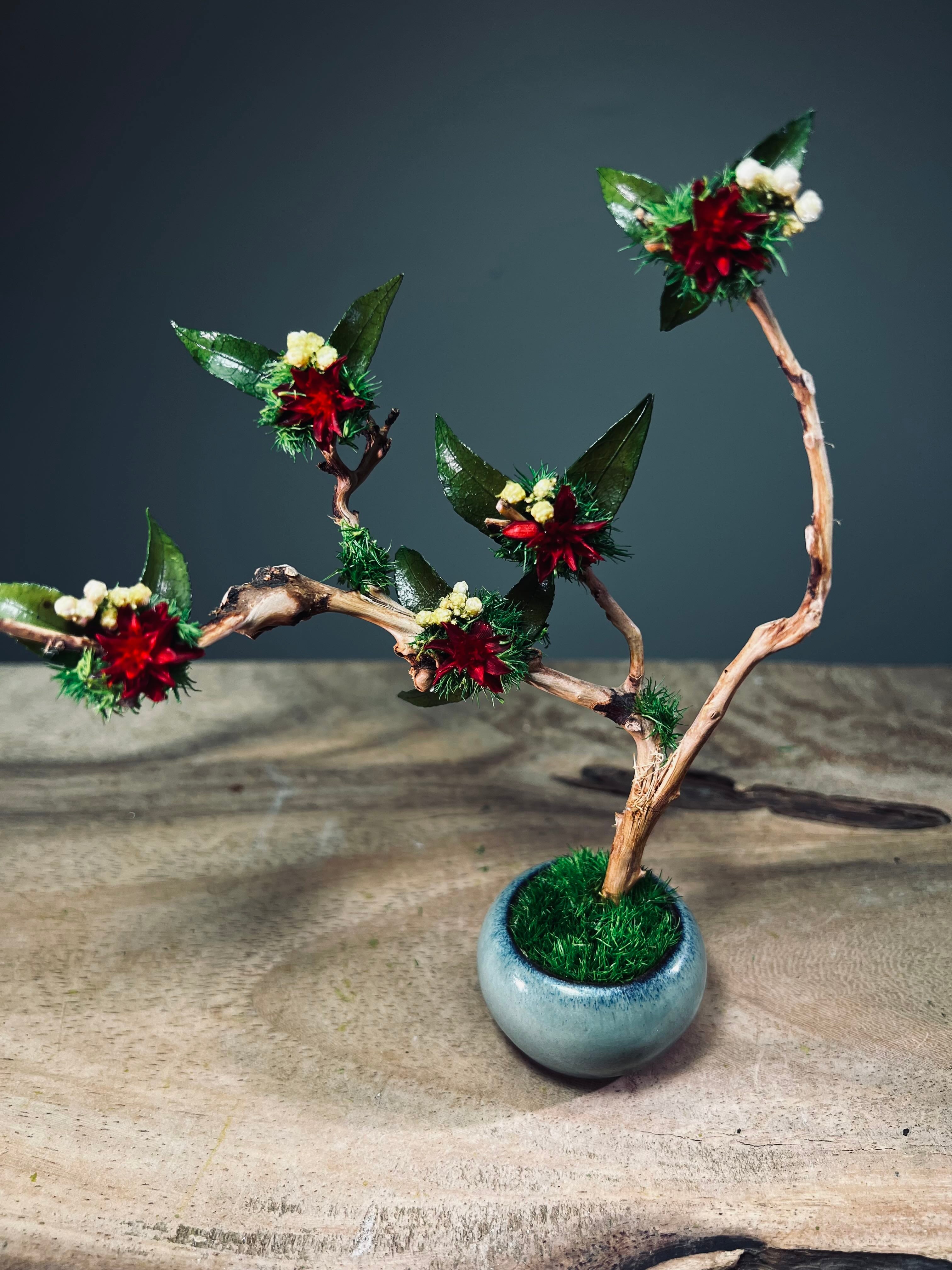 A Small Tree in the East - Star Blossom (Preserved Plants)