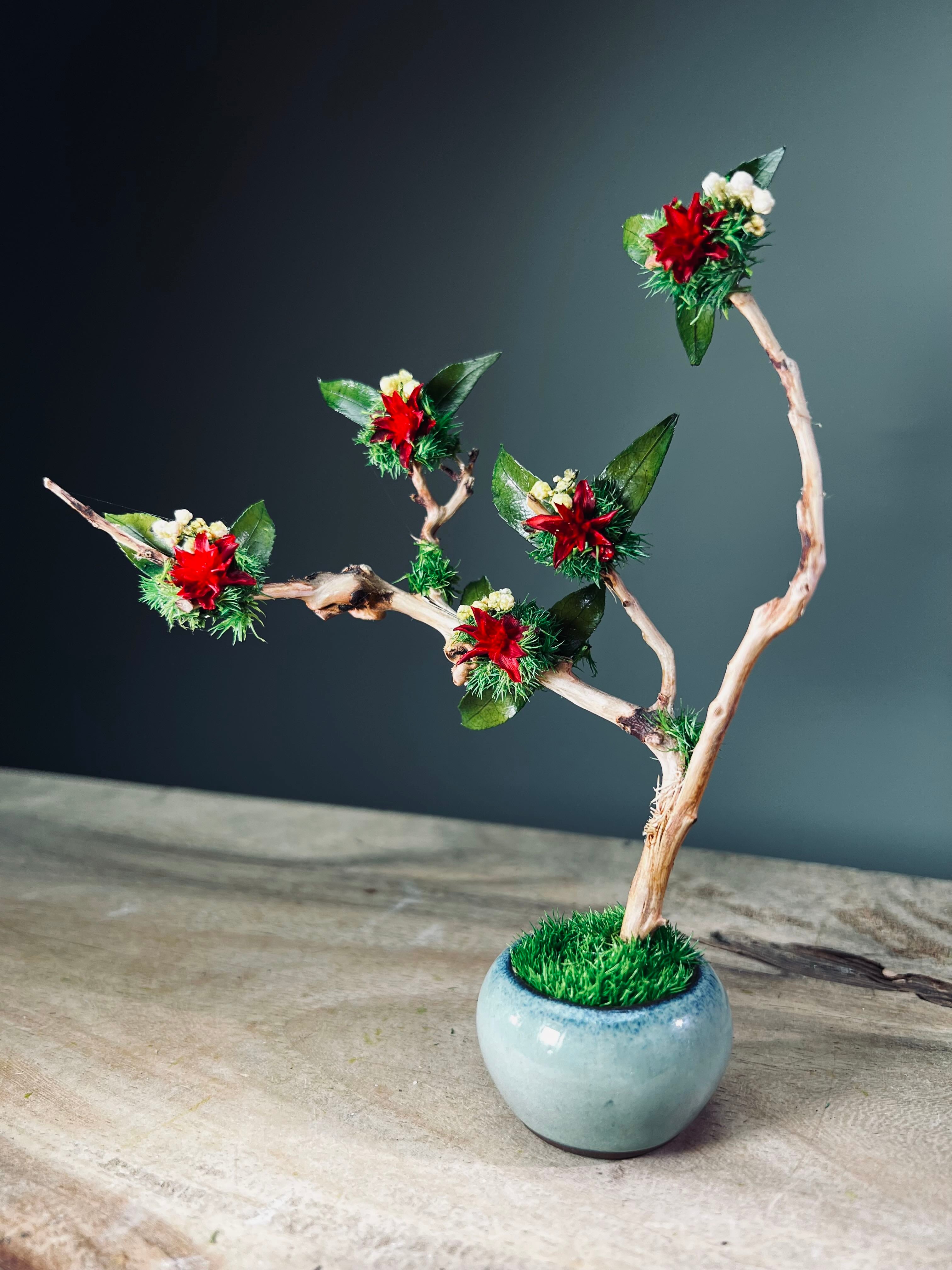 A Small Tree in the East - Star Blossom (Preserved Plants)