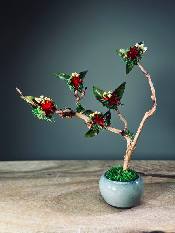 A Small Tree in the East - Star Blossom (Preserved Plants)