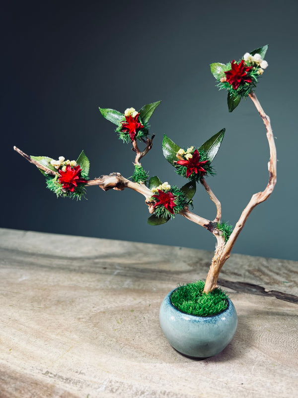 A Small Tree in the East - Star Blossom (Preserved Plants)