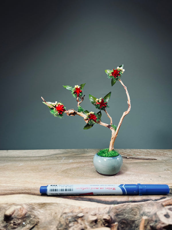 A Small Tree in the East - Star Blossom (Preserved Plants)