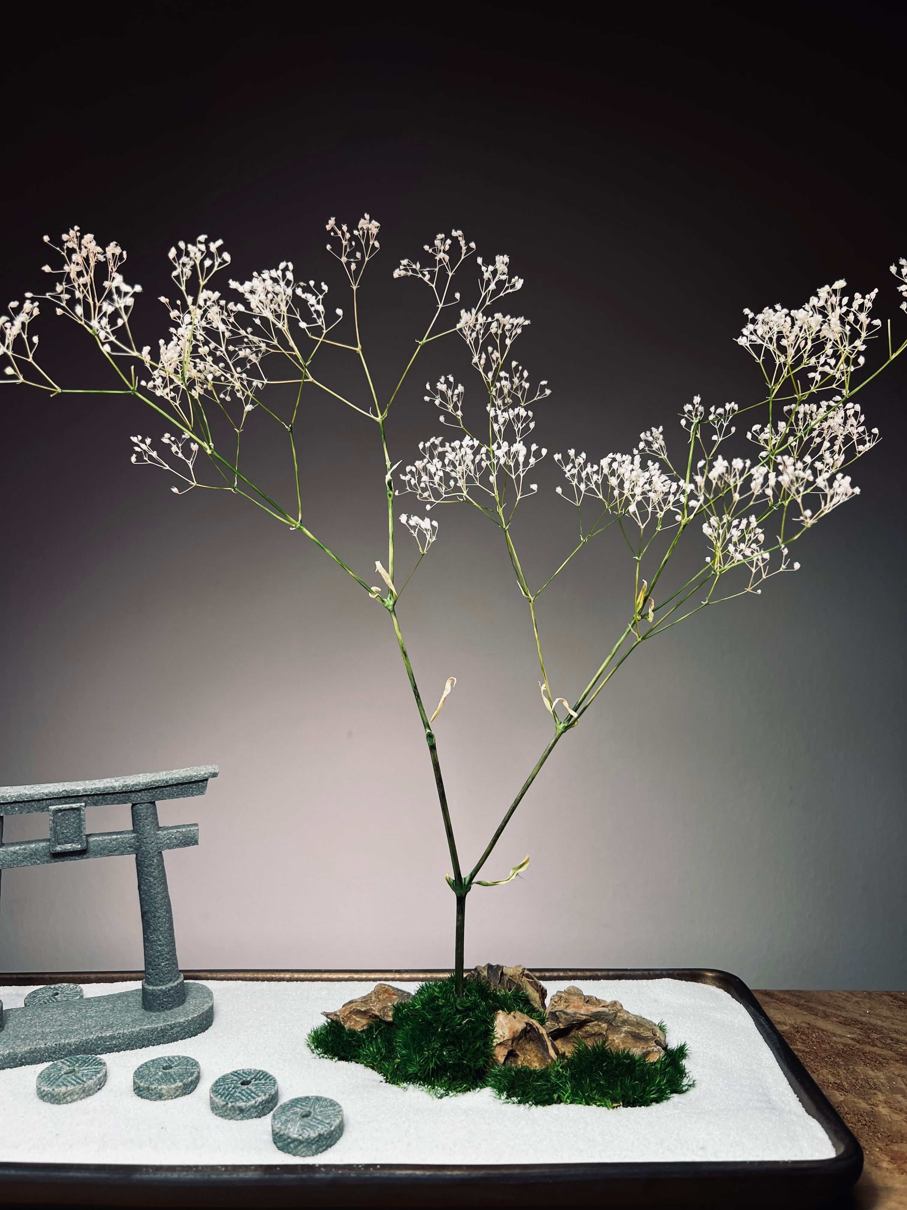 Snowfall - Larger version (Preserved Plants)