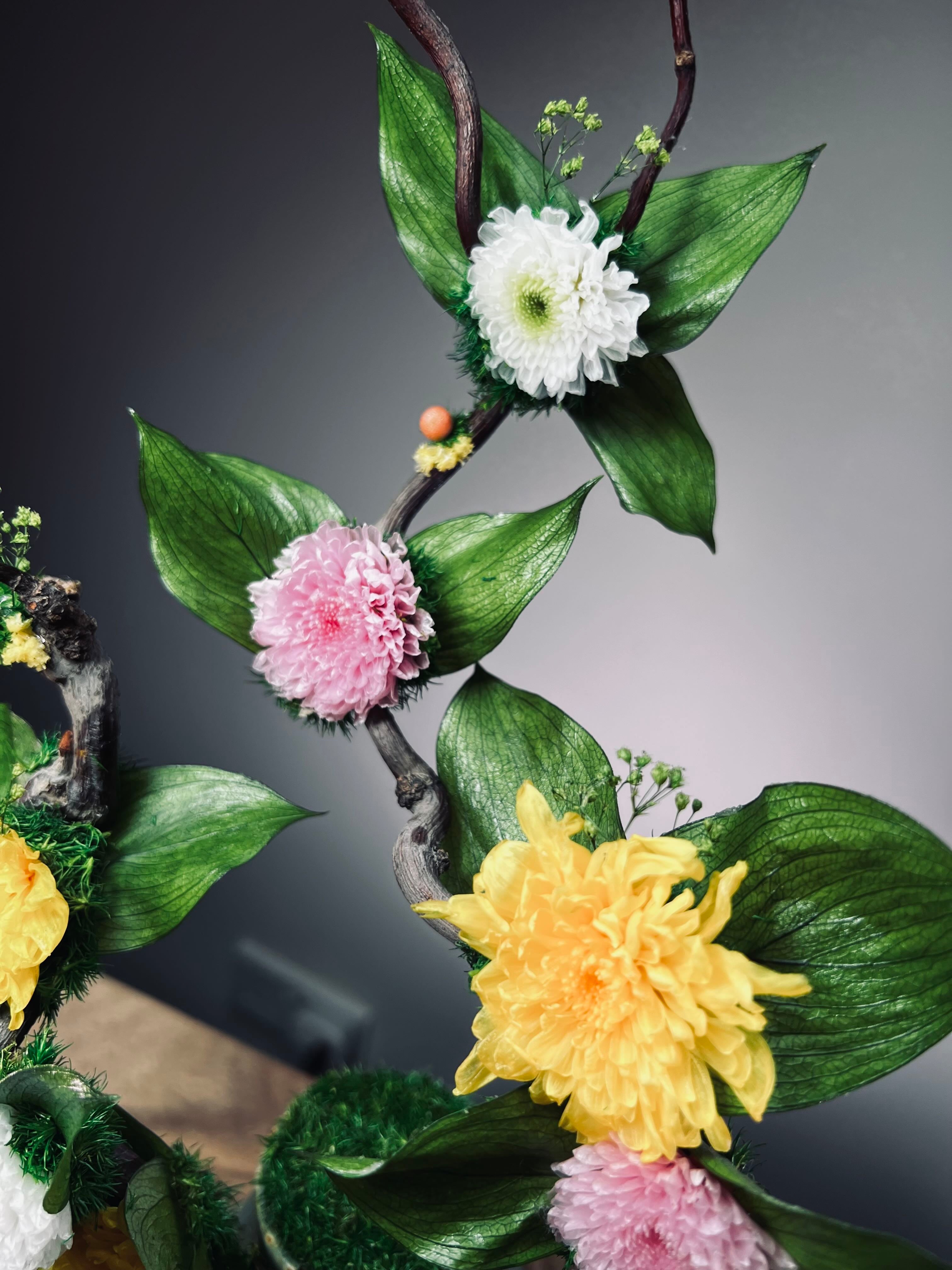 Children of the Forest - Rain Wood (Preserved Plants)