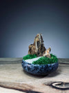 Angel's Landing - Mini version (Preserved Plants)