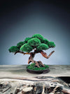 Greenwood - Freshman (Preserved Plants)