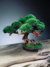 Greenwood - Freshman (Preserved Plants)