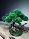 Greenwood - Freshman (Preserved Plants)