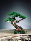 Greenwood (Preserved Plants)