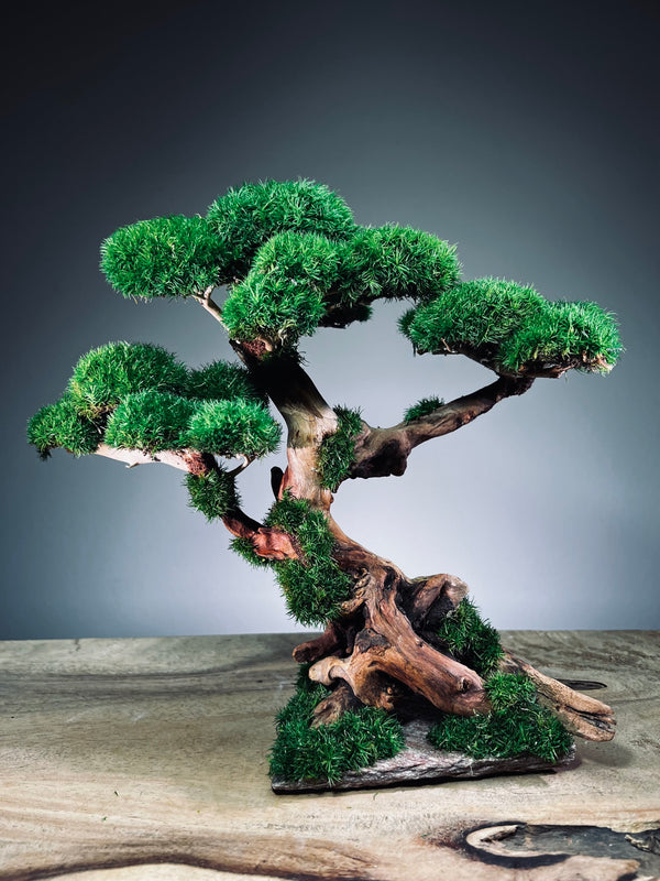 Greenwood (Preserved Plants)