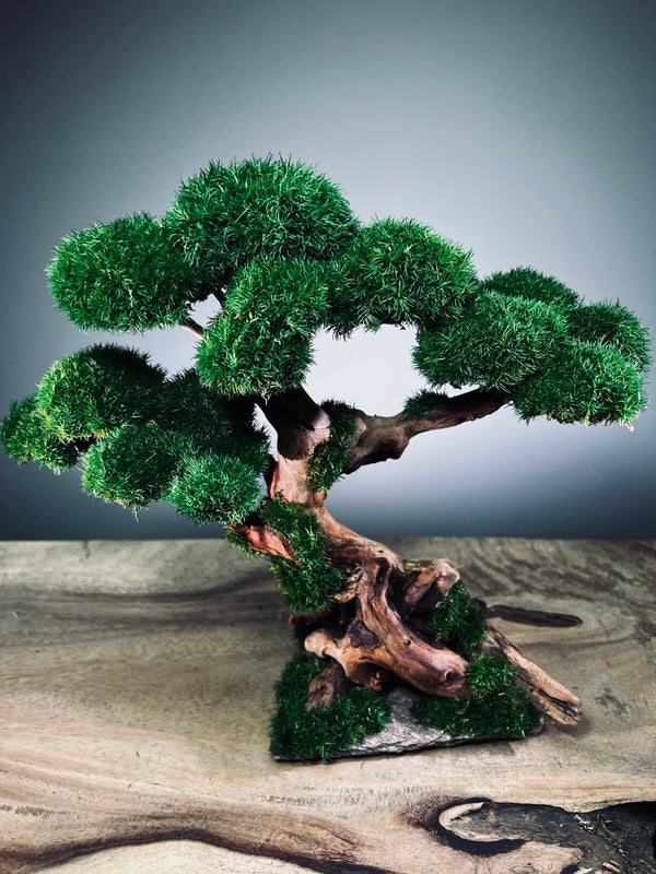 Greenwood (Preserved Plants)