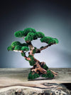 Greenwood (Preserved Plants)