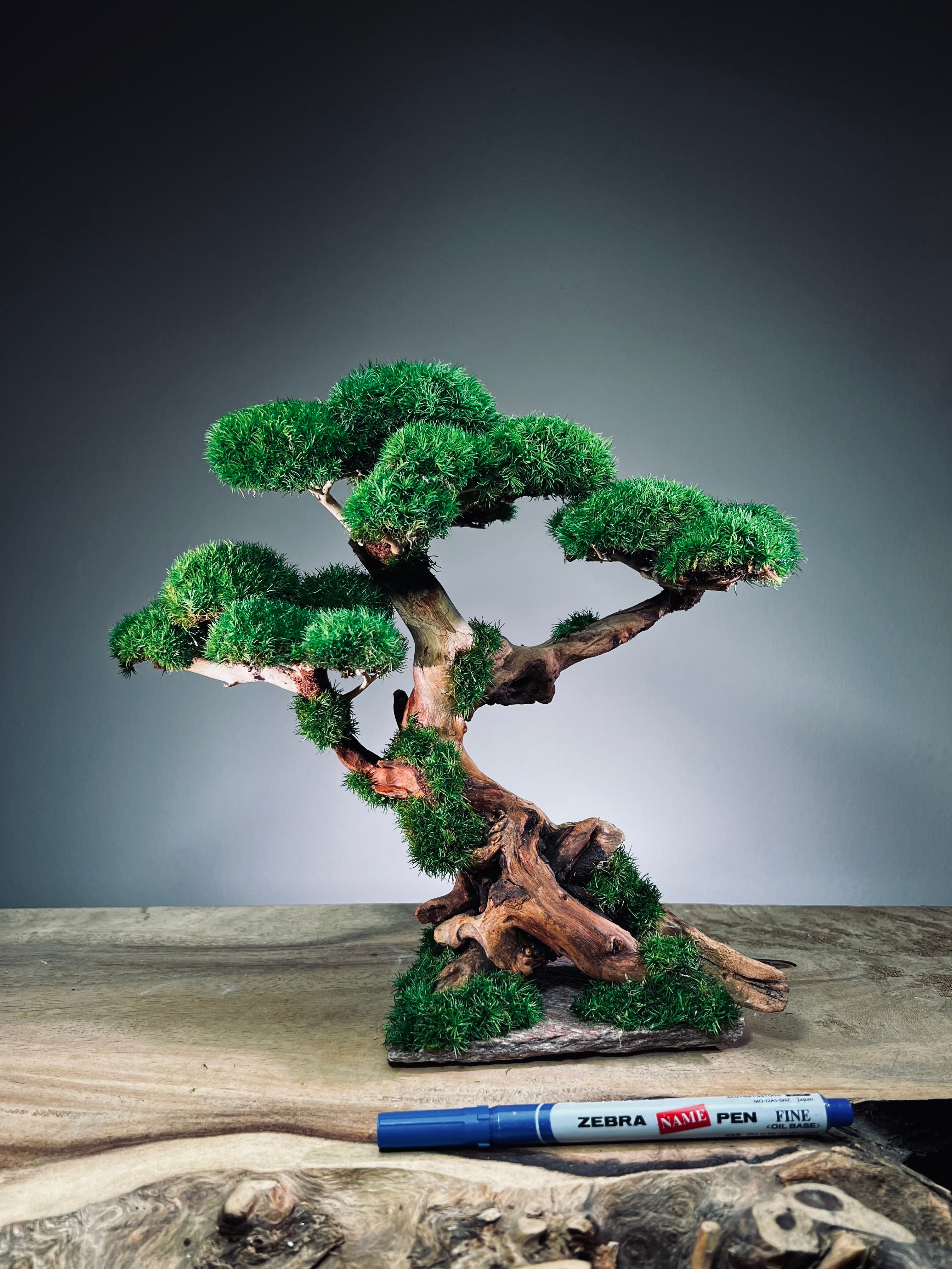 Greenwood (Preserved Plants)