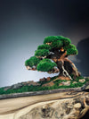 Old Guard - Smaller version (Preserved Plants)
