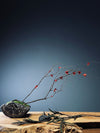Slow Wood - The Journey (Preserved Plants)