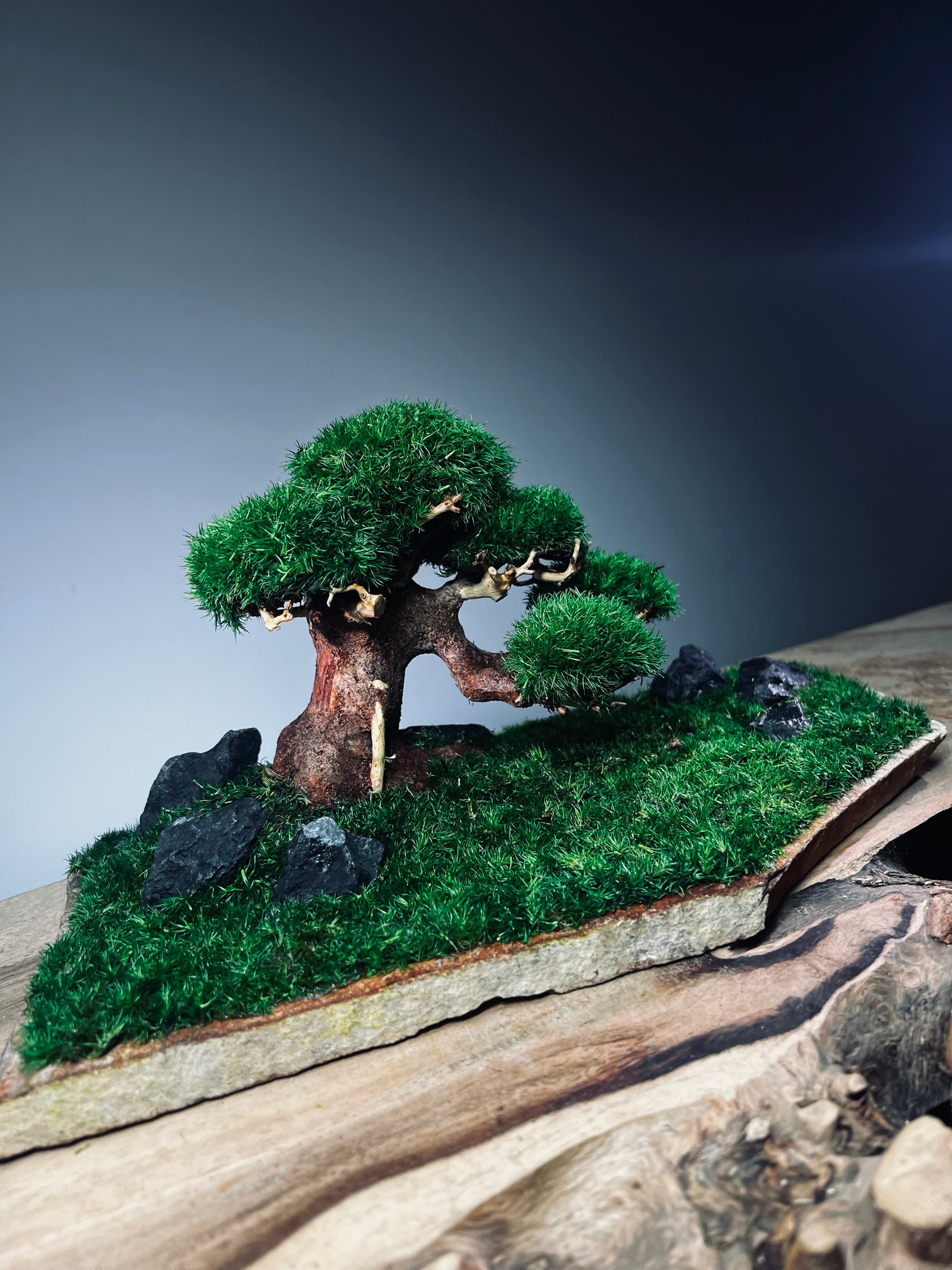Slow Wood - Young - Garden edition (Preserved Plants)