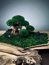 Slow Wood - Young - Garden edition (Preserved Plants)