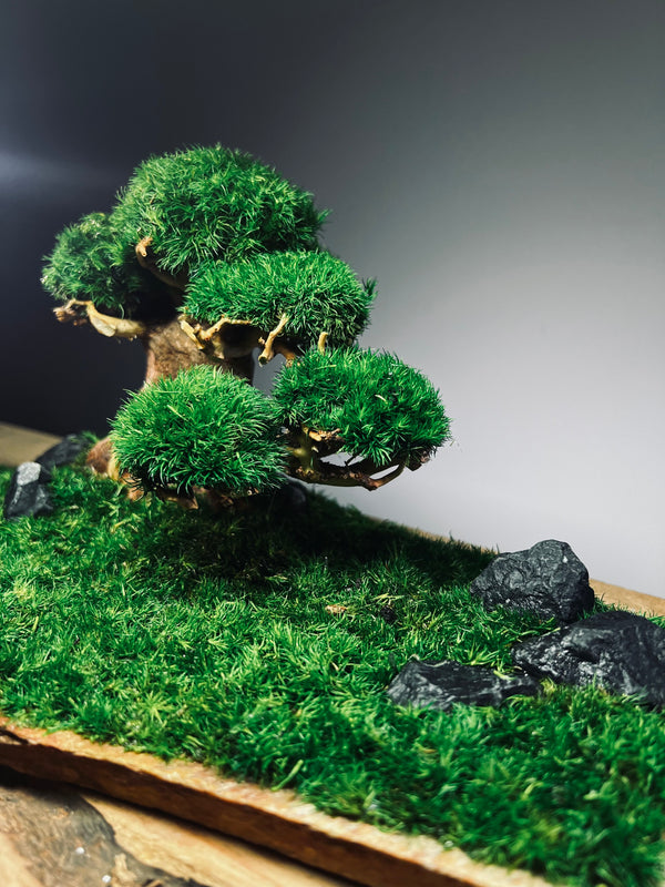 Slow Wood - Young - Garden edition (Preserved Plants)