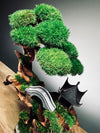 Blackwood Cliff (Preserved Plants)