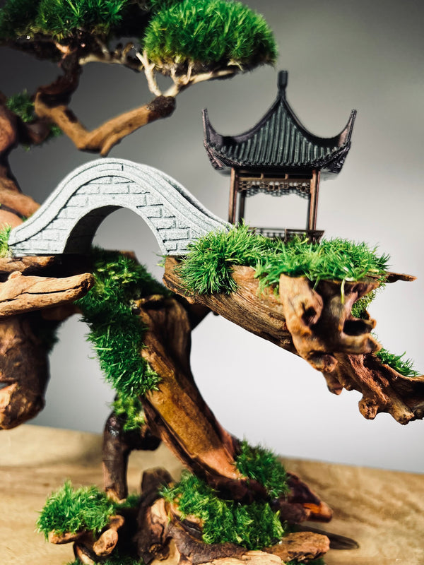 Blackwood Cliff (Preserved Plants)