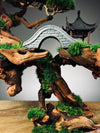 Blackwood Cliff (Preserved Plants)