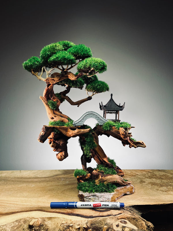 Blackwood Cliff (Preserved Plants)