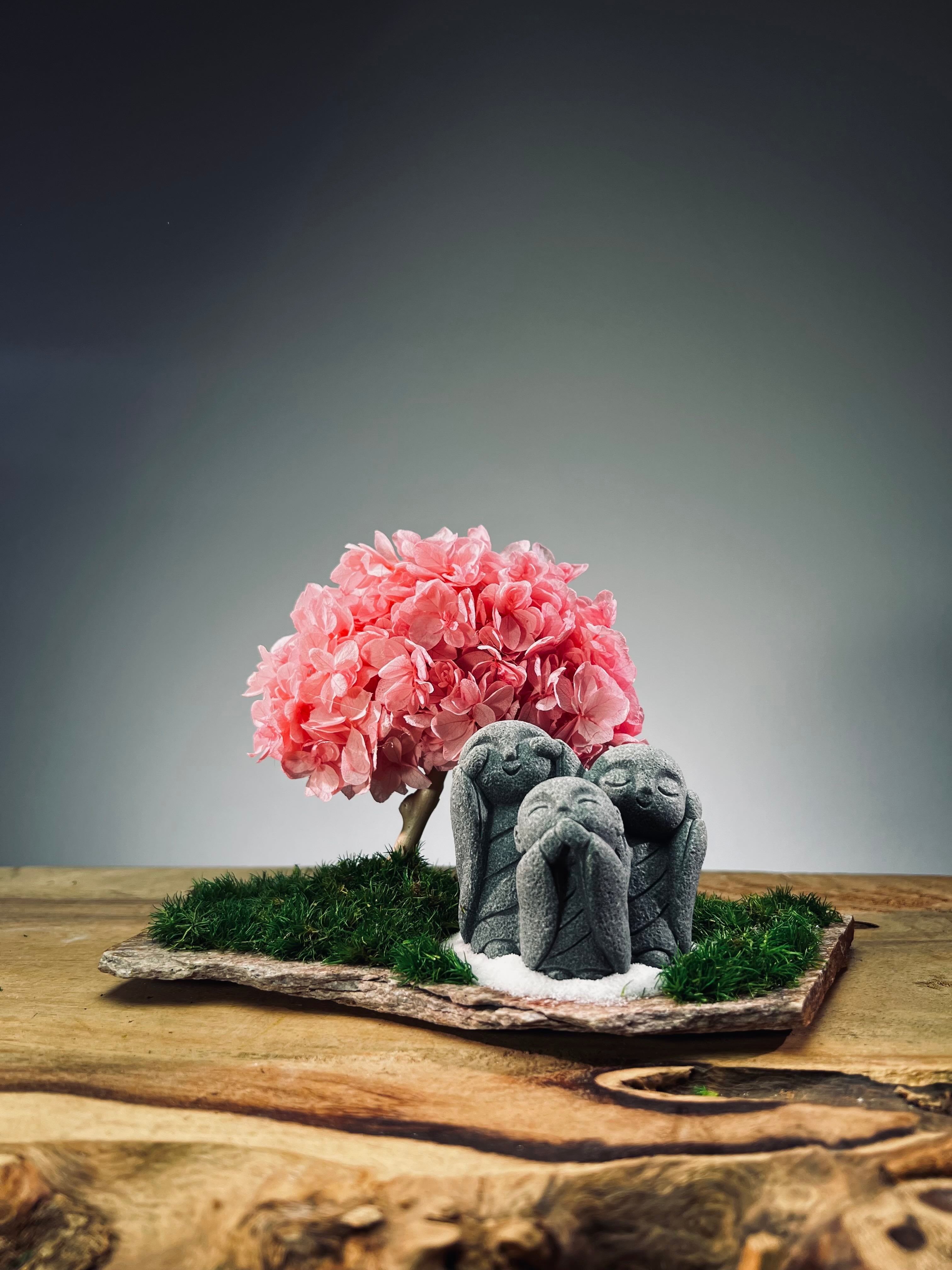 A Small Tree in the East - Sakura - Trio of Everjoy (Preserved Plants)