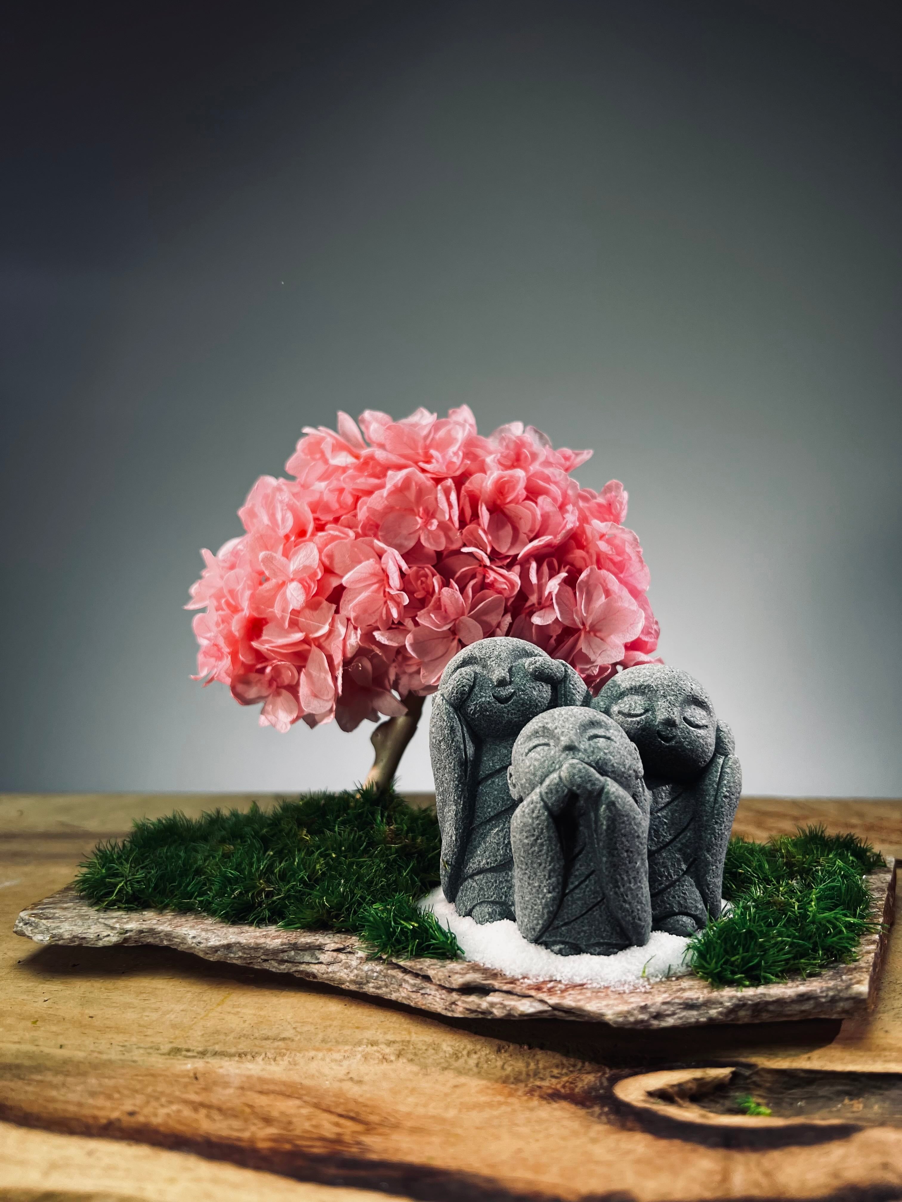 A Small Tree in the East - Sakura - Trio of Everjoy (Preserved Plants)
