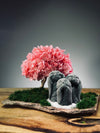 A Small Tree in the East - Sakura - Trio of Everjoy (Preserved Plants)