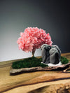 A Small Tree in the East - Sakura - Trio of Everjoy (Preserved Plants)