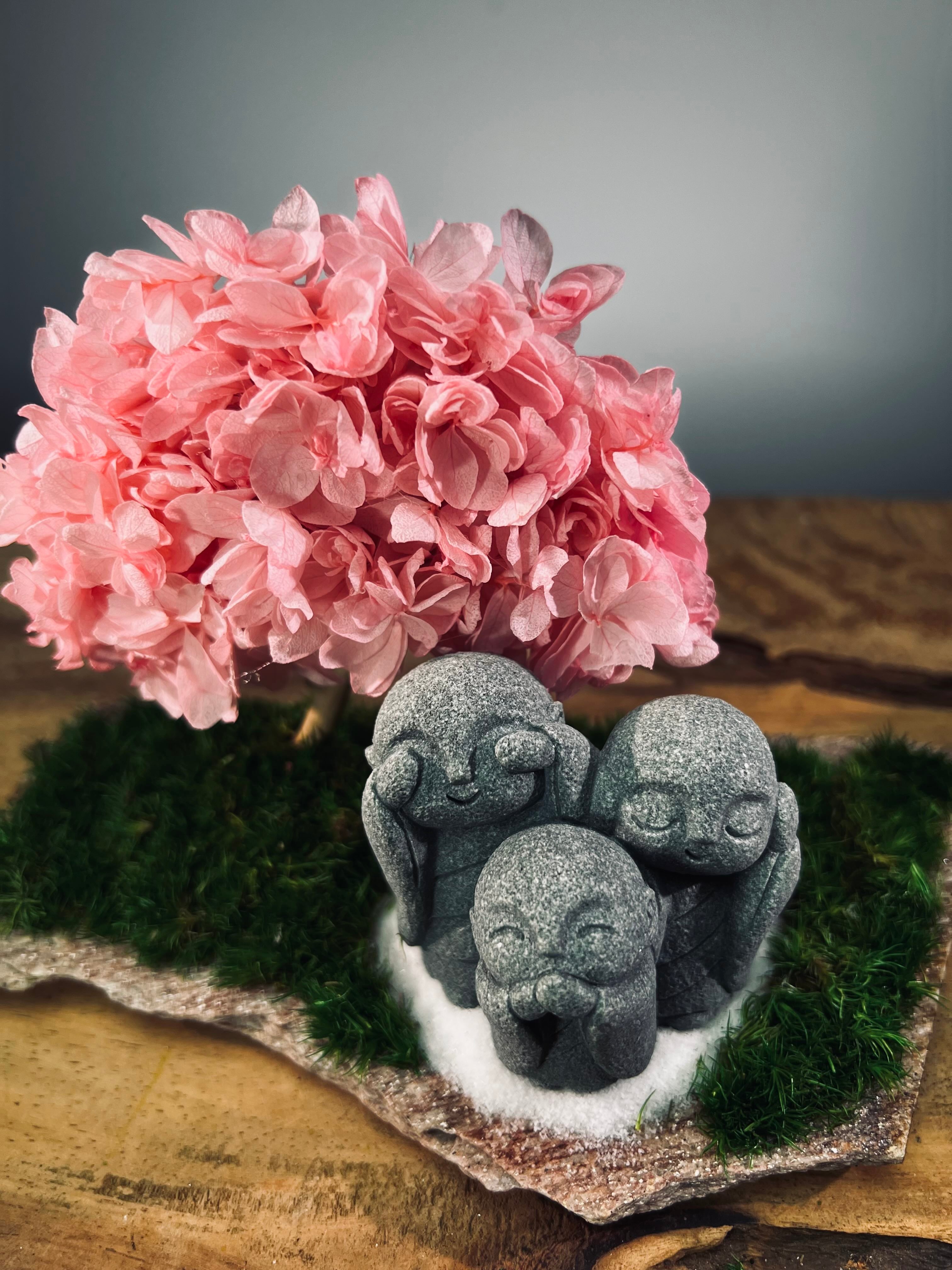 A Small Tree in the East - Sakura - Trio of Everjoy (Preserved Plants)