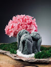 A Small Tree in the East - Sakura - Trio of Everjoy (Preserved Plants)
