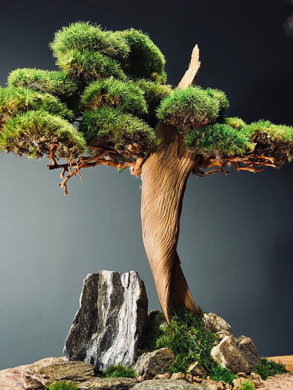 The Windcut Wood - Medium version - Raw (Preserved Plants)