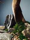 The Windcut Wood - Medium version - Raw (Preserved Plants)