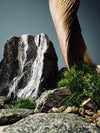 The Windcut Wood - Medium version - Raw (Preserved Plants)