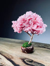 A Small Tree in the East - Sakura (Preserved Plants)